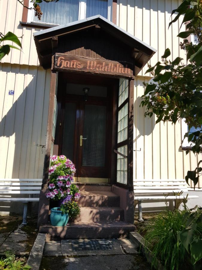 Hotel Haus Waldblick Hohegeiß Exterior foto